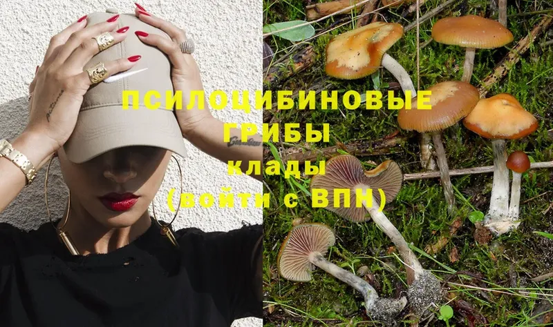 Псилоцибиновые грибы Cubensis  где купить наркотик  Благодарный 